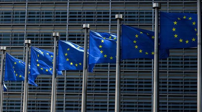 EU stresses timely, full probe into all poll 'irregularities' - Vimarsana News