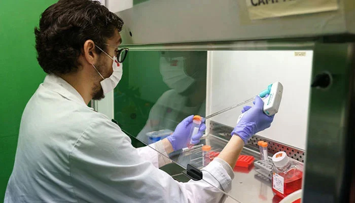 A researcher at the Institute of Molecular Biology and Genetics (IBGM) of the University of Valladolid (UVa) works in a laboratory. — AFP/File