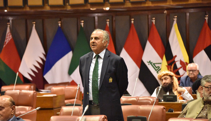 Ex-Servicemen Society President and Senator Gen (retd) Abdul Qayyum addresses during a senate session in Islamabad on March 17, 2023. — X/@generalqayyum