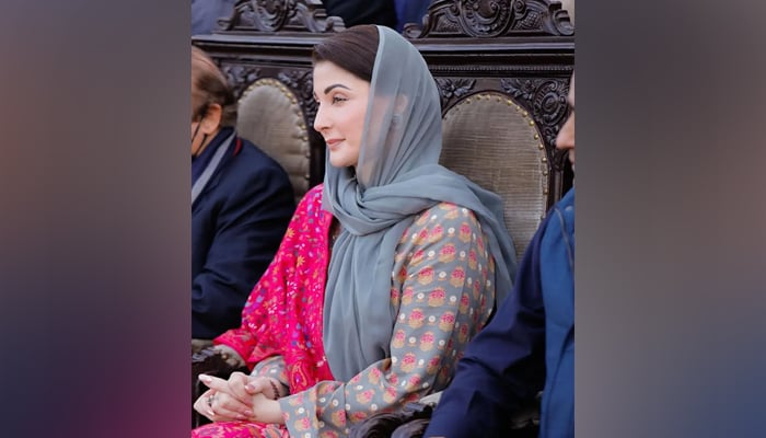 PMLN Senior Vice President Maryam Nawaz on February 3, 2024. — Facebook/Maryam Nawaz Sharif