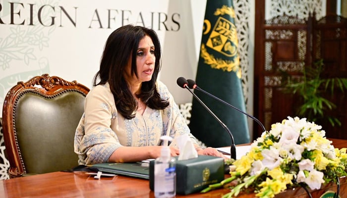 The Foreign Office spokesperson Mumtaz Zahra Baloch during a briefing in Islamabad on February 3, 2024. — Facebook/Ministry of Foreign Affairs, Islamabad