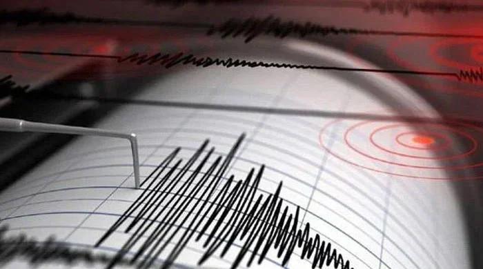 Quake jolts GB, adjoining areas - Vimarsana News