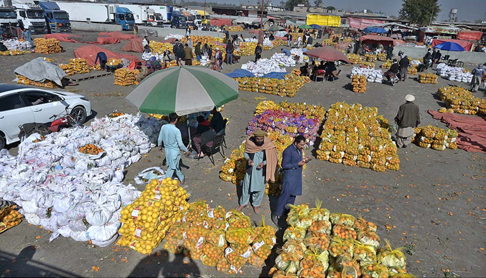 Vendors displaying oranges to attract the customers at Fruit & Vegetable Market in Islamabad on February 14, 2024. — APP