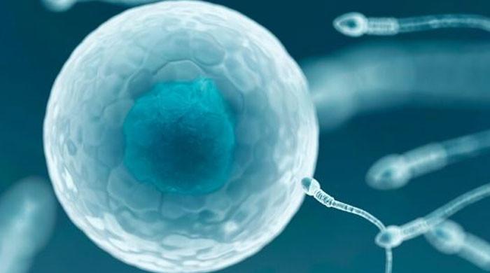 Alabama's attorney general won't prosecute IVF clinics, families - Vimarsana News