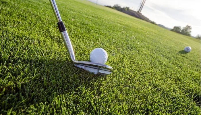 This representational image shows a golf stick and ball in a field. — Unsplash