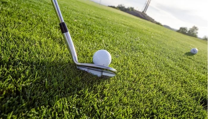 This representational image shows a golf stick and ball in a field. — Unsplash/File