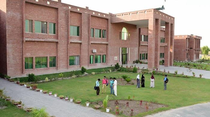 UVAS achieves milestone in IVEP birth - Vimarsana News