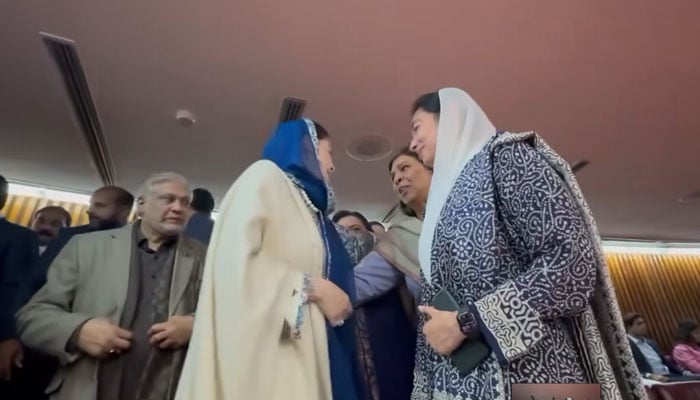 The screenshot shows punjab Chief Minister Maryam Nawaz and daughter of former president Asif Ali Zardari Aseefa Bhutto talking to each other in the National Assembly on February 29, 2024. — Facebook/Pakistan Peoples Party - PPP