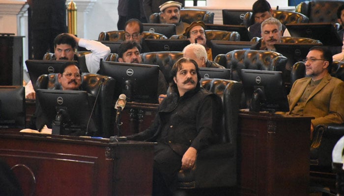 The image released on Mar 1, 2024 shows newly elected Chief Minister Ali Amin Gandapur after taking the vote in Khyber Pakhtunkhwa Assembly.  — Facebook/AliAminKhanGandapurPti