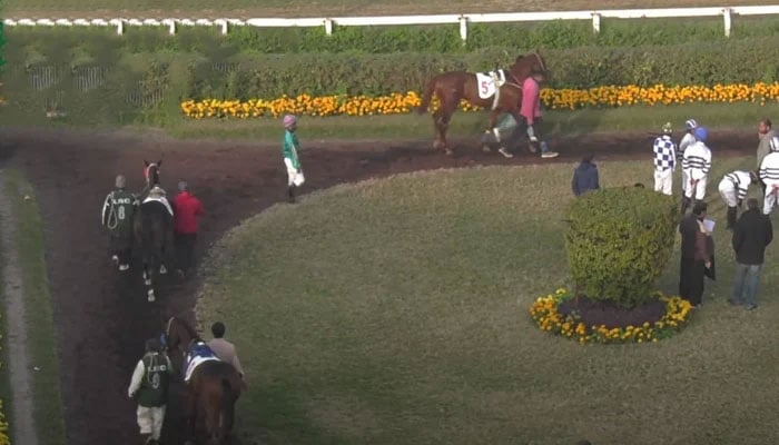 This image shows a general view of horses, trainers and riders at the Lahore Race Club. — Screengrab/YouTube/Lahore Race Club