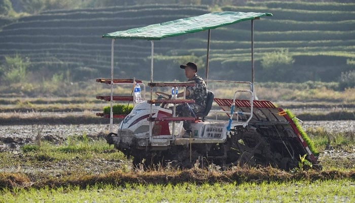 A farmer seeds rice with a seeding machine in a field in Wuyi, in Zhejiang province, China, on April 12, 2022. — AFP