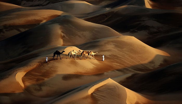 Tribesmen lead their camels through the dunes of the Liwa desert after a rare rainstorm. — AFP/File