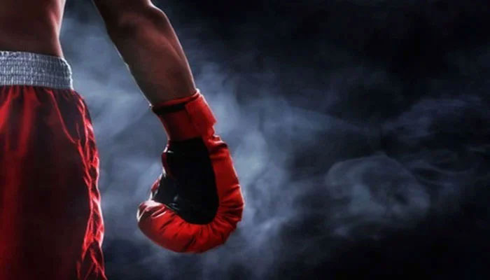 This representational image shows a Boxer. — AFP/File