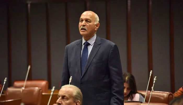 PMLN Senator Mushahid Hussain Syed speaks in the parliament on October 31, 2023. — Facebook/Mushahid Hussain Sayed