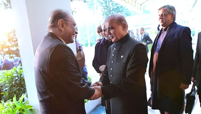 PPP Co-chairman Asif Ali Zardari meets Prime Minister Shehbaz Sharif at the PM Office. — APP/File