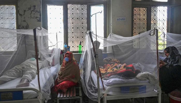Relatives sit next to patients suffering from dengue fever resting under a mosquito net at hospital. — AFP/File
