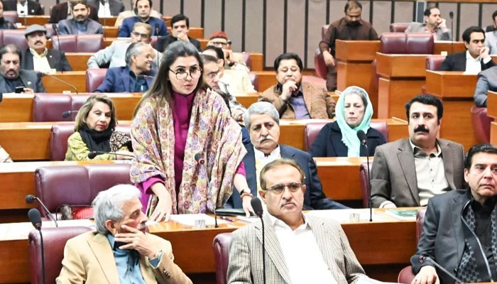 PPPs Shazia Marri addressing the National Assembly, on March 13, 2024. — X/@NAofPakistan