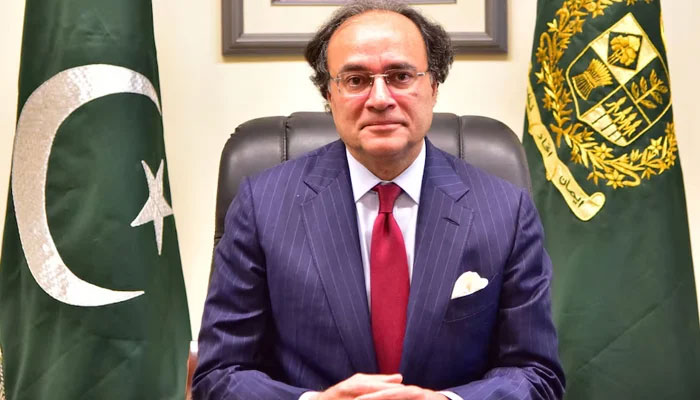 Newly appointed Finance Minister Muhammad Aurangzaib poses after taking oath in Islamabad, on March 11, 2024. — Ministry of Finance