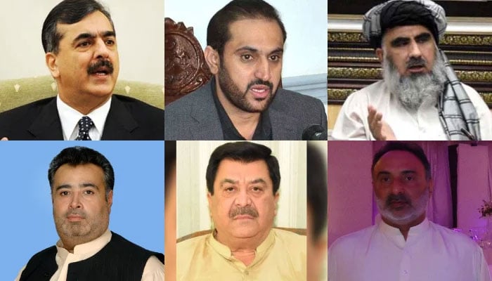 (Clockwise) Newly elected Senators Yusuf Raza Gilani, Abdul Quddus Bizenjo, Mufti Abdul Shakoor, Jam Saifullah Khan Dharejo, Muhammad Aslam Abro and Mir Dostain Khan Domki. — AFP/APP/National Assembly web site/ PPI/Facebook/File