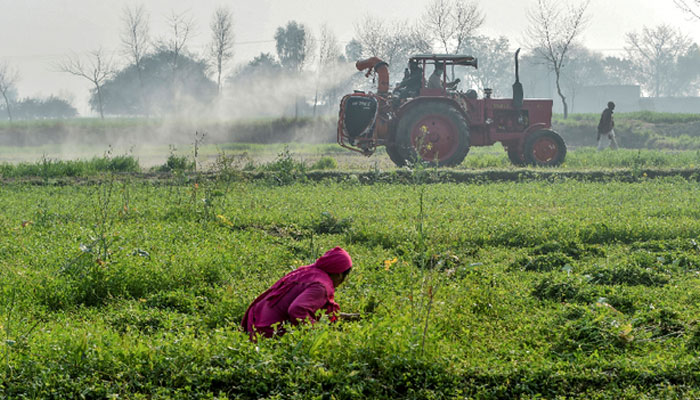 This picture shows a person on a field with a tractor in the background. — AFP/File