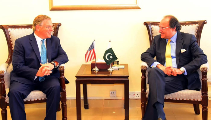 Finance Minister Muhammad Aurangzeb (right) meeting US Ambassador Donald Blome on March 19, 2024. — PID