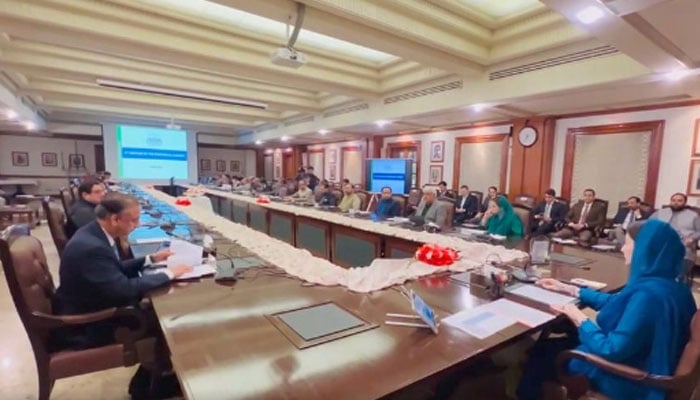 Punjab Chief Minister Maryam Nawaz presiding over the third meeting of the provincial cabinet in this still taken from a video on March 19, 2024. — Facebook/Maryam Nawaz Sharif