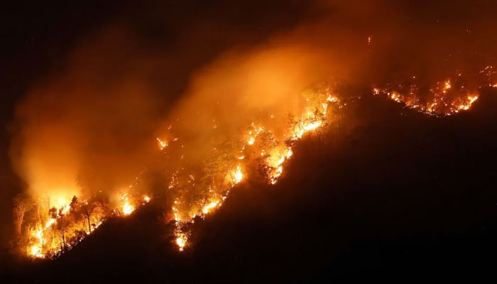 A representational image of a wildfire. — AFP/File