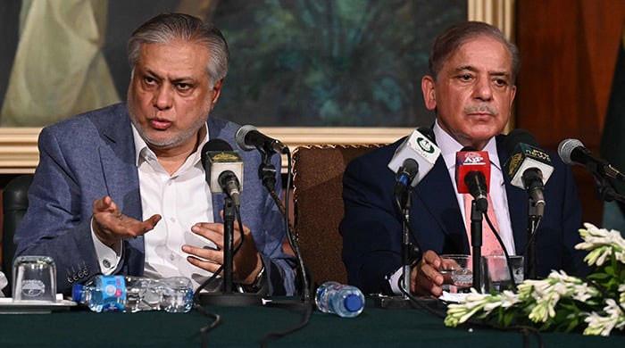 Shehbaz to head ECC, Dar cabinet panel on privatisation - Vimarsana News