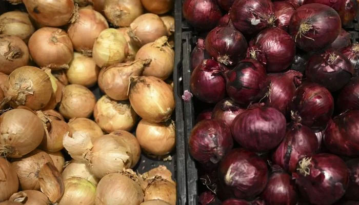 Representational image showing different colored onions. — AFP/File