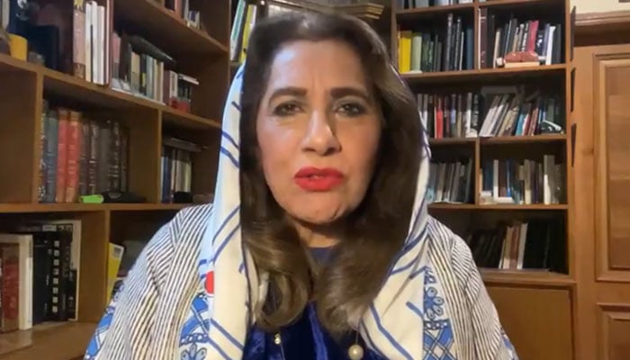 Member of Provincial Assembly Uzma Kardar is seen during a video interview on March 7, 2024. — Screengrab/X/@UzmaKardar