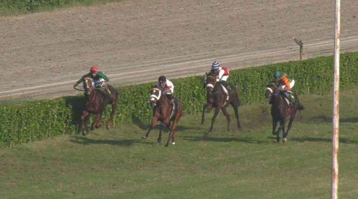 Jim and Tonic wins Queen Elizabeth-II Challenge Cup - Vimarsana News