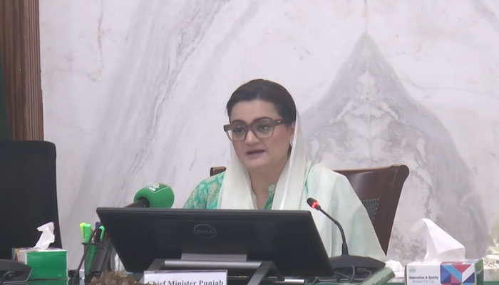 Senior Provincial Minister Marriyum Aurangzeb gestures during a meeting of the Planning & Development Board on March 27, 2024. — Facebook/ Planning & Development Board, Govt. of the Punjab