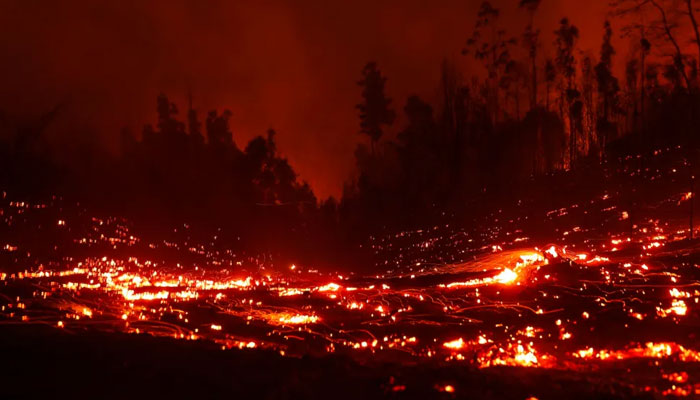A view of a forest fire. — AFP/File