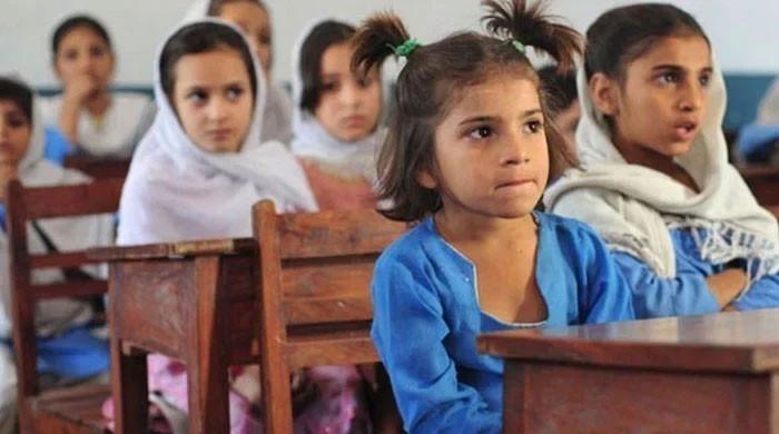 Despite better school enrolment, Sindh's foundational learning still low - Vimarsana News