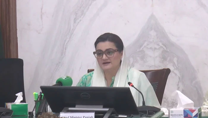 Senior Provincial Minister Marriyum Aurangzeb gestures during a meeting on March 27, 2024. — Facebook/ Planning & Development Board, Govt. of the Punjab