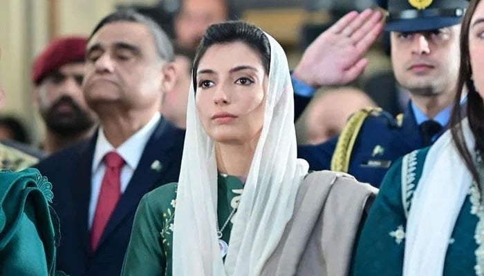 President Asif Ali Zardaris youngest daughter Aseefa Bhutto-Zardari. — Instagram/@aseefabz/File
