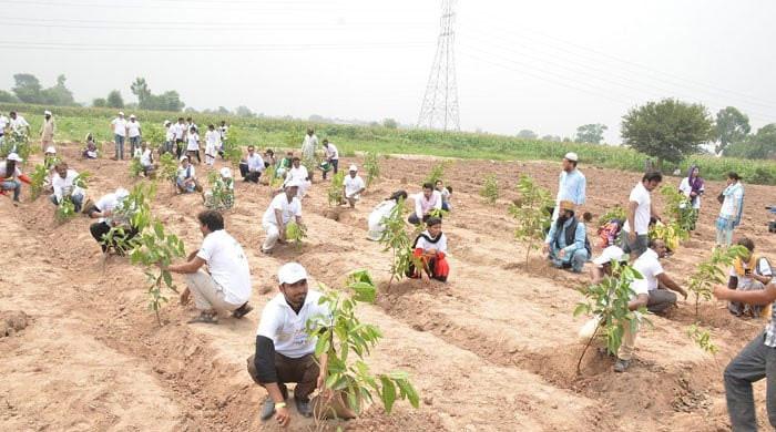 200 saplings planted - Vimarsana News