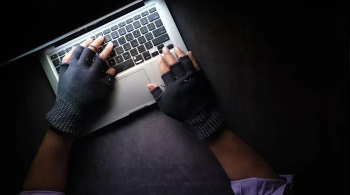 India rescuing citizens forced into cyber fraud schemes in Cambodia - Vimarsana News