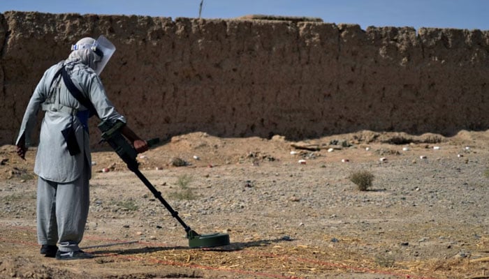 This picture taken on Nov. 9, 2021, shows a deminer from the HALO (Hazardous Area Life-Support Organization) Trust scanning the ground for mines with a metal detector in Nad-e-Ali village in Helmand province. — AFP/File