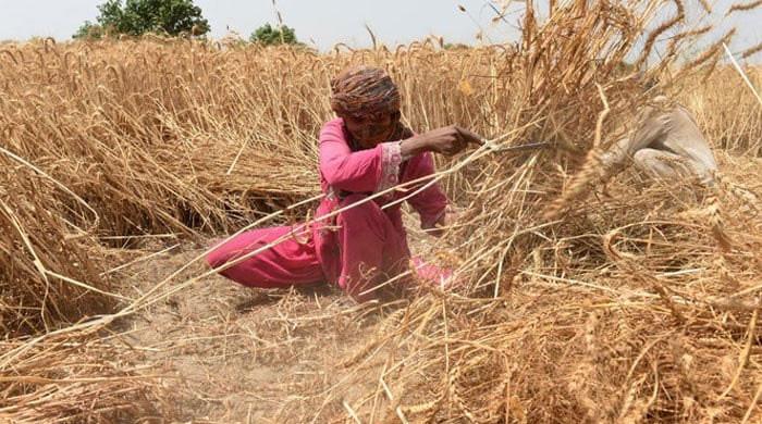Country to face 30pc water shortage in early Kharif, 7pc in late Kharif - Vimarsana News
