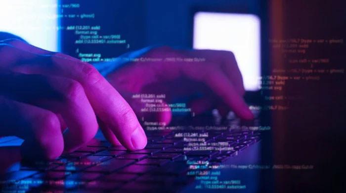 Pakistani domains caught in global data theft; over 2 million logins compromised in 2023 - Vimarsana News