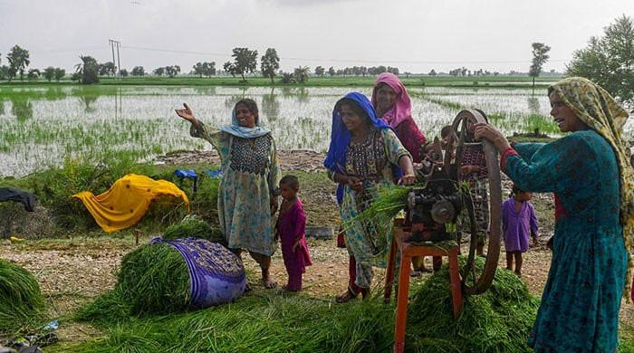 Women peasants decry government's failure to implement minimum wages - Vimarsana News