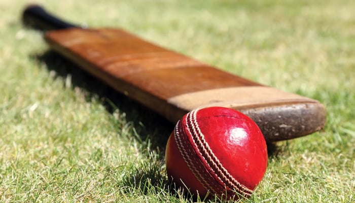 This representational image shows the Cricket bat and Ball. — APP/File