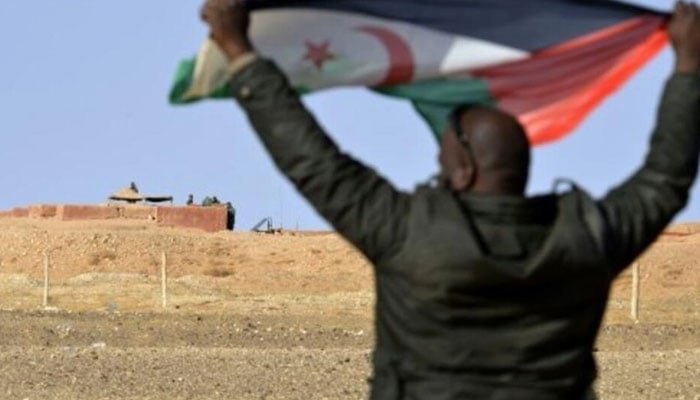 A Saharawi man holds up a Polisario Front flag in the Al-Mahbes area near Moroccan soldiers guarding the wall separating the Polisario controlled Western Sahara. — AFP/File