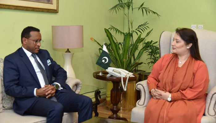 This image shows the meeting between Coordinator to the PM on Climate Change Romina Khurshid Alam and Ethiopian Ambassador to Pakistan Jemal Beker Abdula on April 8, 2024. — APP