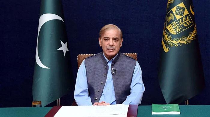Federal govt to establish Danish schools across country: Shehbaz - Vimarsana News