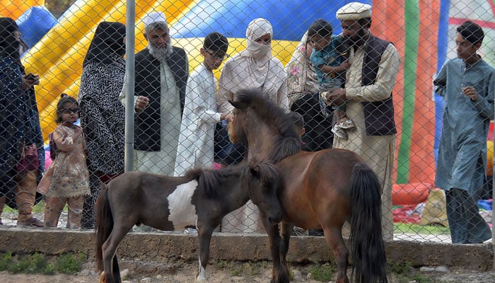 People visit the zoo at Lake View Park on the day of Eid-ul-Fitr on April 12, 2024. — INP