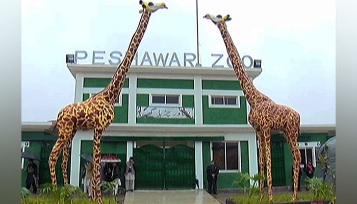 In this image, Peshawar Zoo entrance can be seen. — APP/File