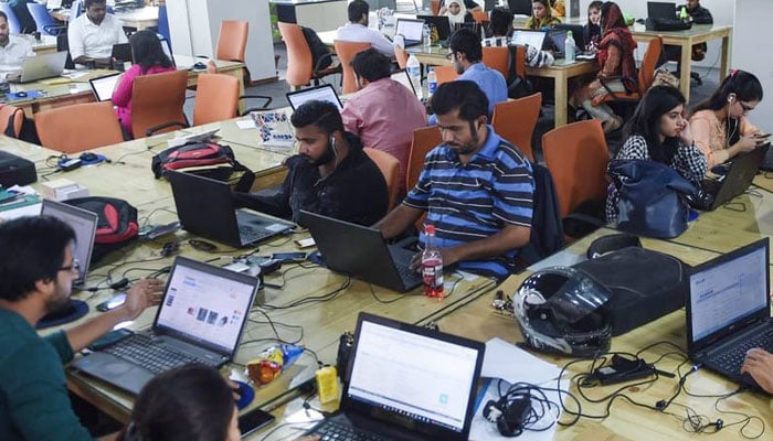 A representational image showing Pakistani youth using laptops in an office. — AFP/File
