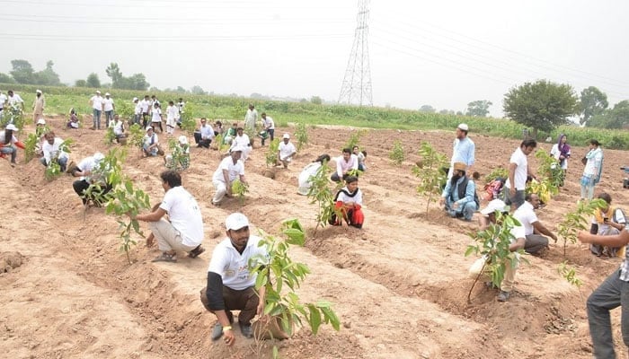 A representational image showing people taking part in a plantation drive in Pakistan. — UNAP website/File
